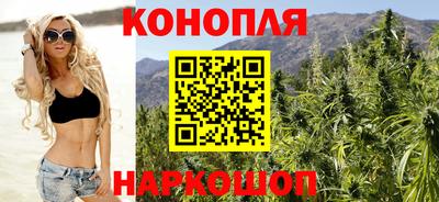 шишки Будённовск