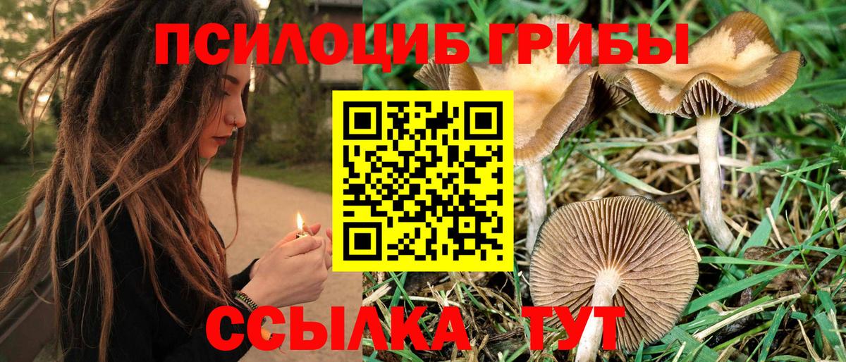 A-PVP Сальск