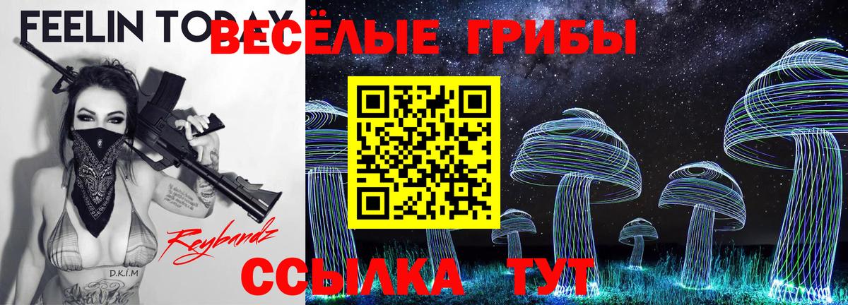Псилоцибиновые грибы GOLDEN TEACHER  Вход с VPN  Сальск 